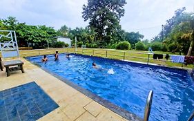 Serene Blossom Valley